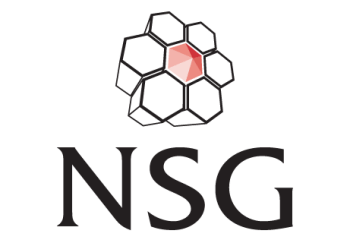 NSG Environmental Ltd